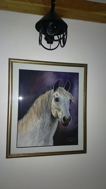 Guest House Zlatiborski Pastuv エクステリア 写真